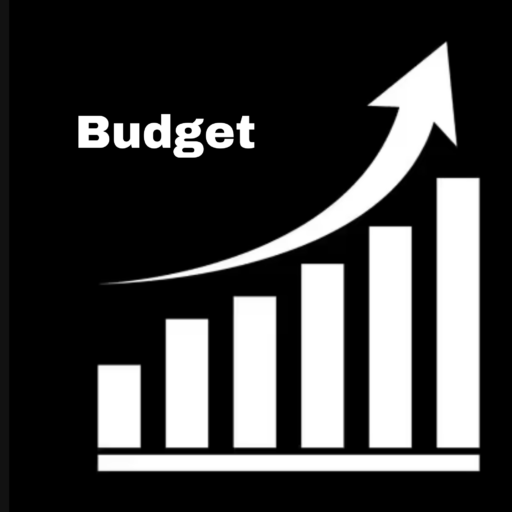Maitrise budget
